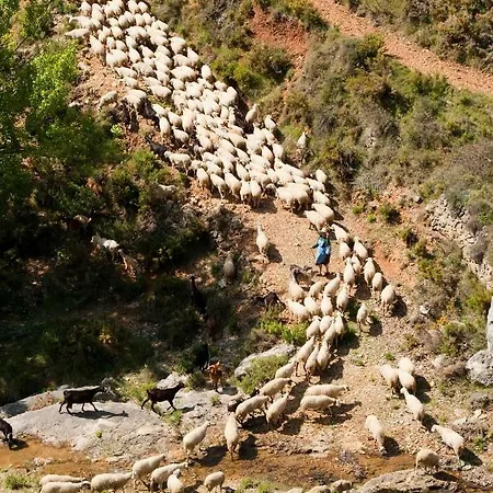 La Covarxella * Culla