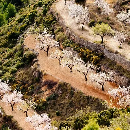 La Covarxella * Culla