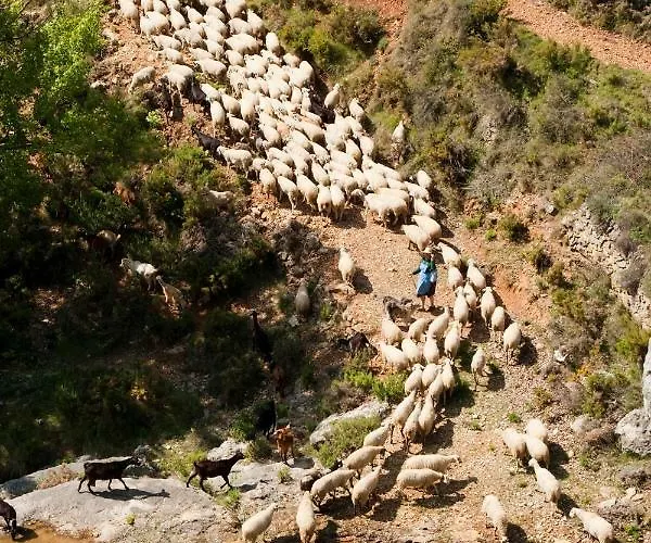 La Covarxella * Culla