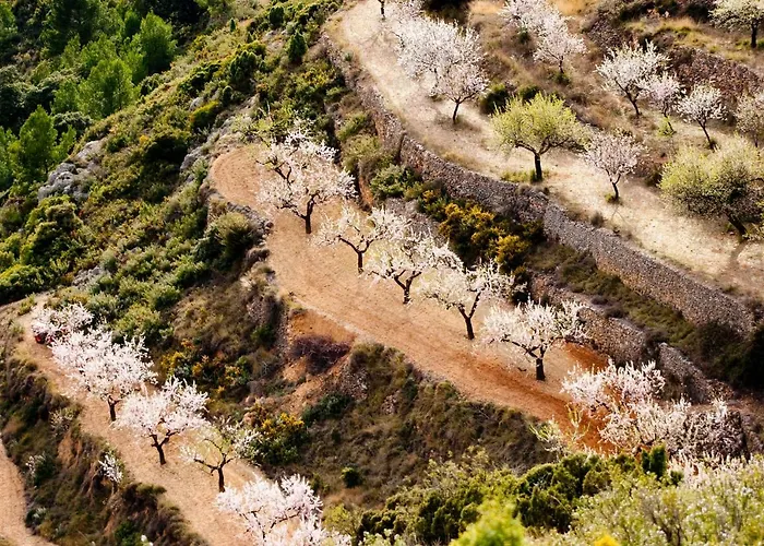 La Covarxella * Culla